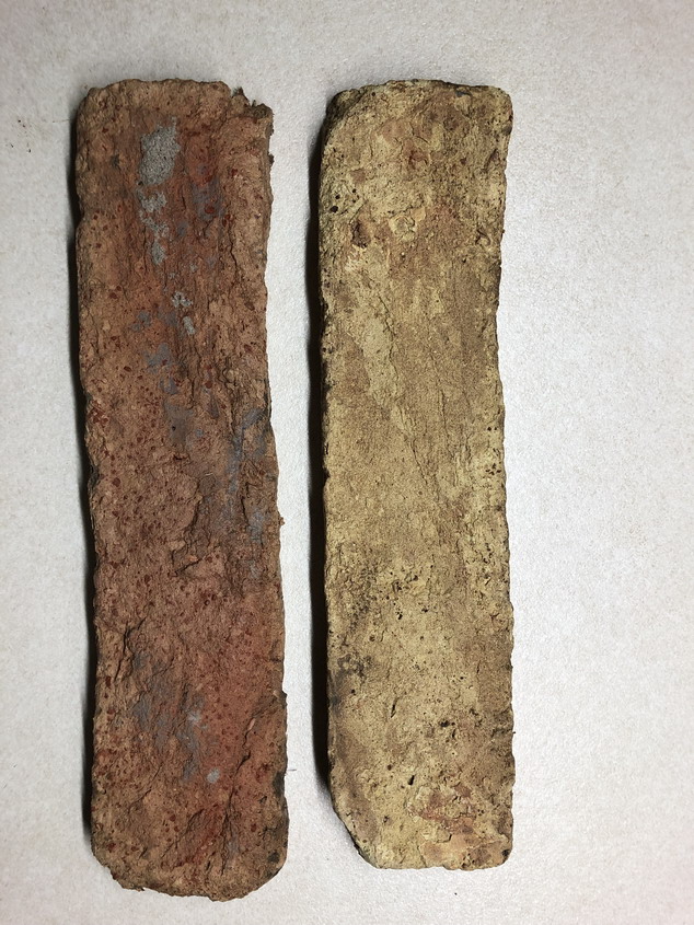 Brick fossil